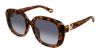Picture of Chloe Sunglasses CH0303SK