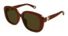 Picture of Chloe Sunglasses CH0303SK