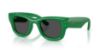 Picture of Ray Ban Sunglasses RB4940