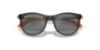 Picture of Ray Ban Sunglasses RJ9082S