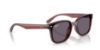 Picture of Ray Ban Sunglasses RB4461D