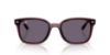 Picture of Ray Ban Sunglasses RB4461D