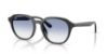 Picture of Ray Ban Sunglasses RB4459D