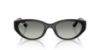 Picture of Ray Ban Sunglasses RB4457D