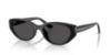 Picture of Ray Ban Sunglasses RB4457D