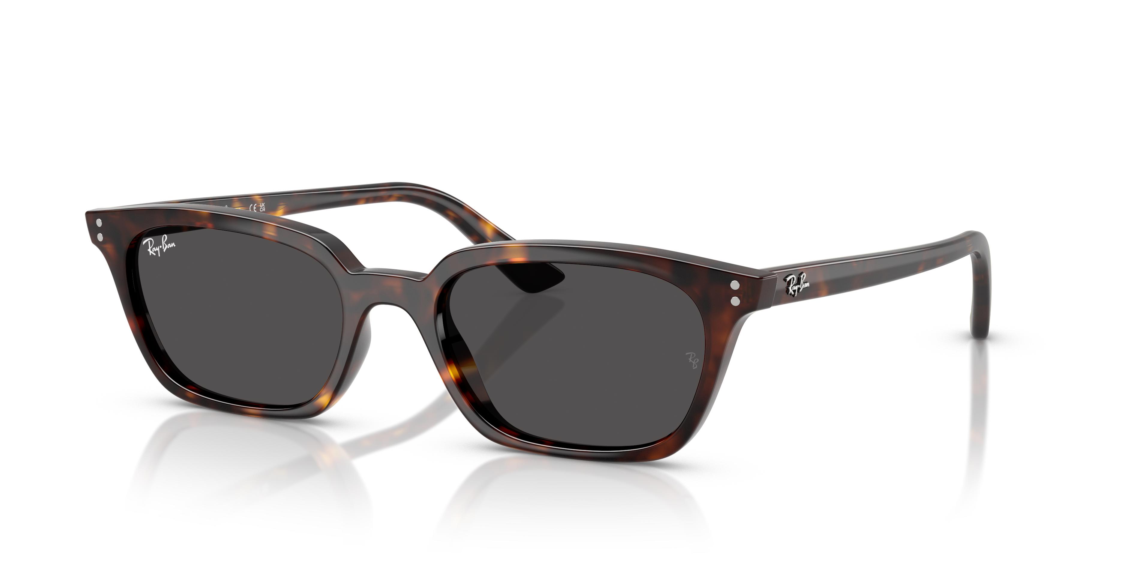 Picture of Ray Ban Sunglasses RB4456