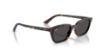 Picture of Ray Ban Sunglasses RB4456