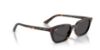 Picture of Ray Ban Sunglasses RB4456F