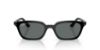 Picture of Ray Ban Sunglasses RB4456F