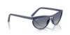 Picture of Ray Ban Sunglasses RB4453