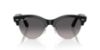Picture of Ray Ban Sunglasses RB2341