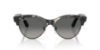 Picture of Ray Ban Sunglasses RB2341