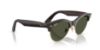 Picture of Ray Ban Sunglasses RB2341