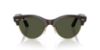 Picture of Ray Ban Sunglasses RB2341