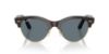 Picture of Ray Ban Sunglasses RB2341