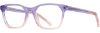 Picture of db4k Eyeglasses Starry-Eyed