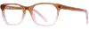 Picture of db4k Eyeglasses Starry-Eyed