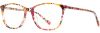 Picture of Scott Harris Eyeglasses SH-968