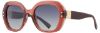 Picture of INVU Sunglasses INVU-321