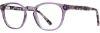 Picture of Adin Thomas Eyeglasses AT-STUDIO 003