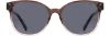 Picture of INVU Sunglasses INVU-319