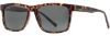 Picture of INVU Sunglasses INVU-316
