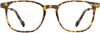 Picture of Scott Harris Eyeglasses SH-X 025