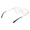 Picture of Longchamp Eyeglasses LO2175LB
