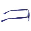Picture of Nike Eyeglasses 1001C