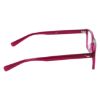 Picture of Nike Eyeglasses 1000C