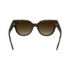 Picture of Longchamp Sunglasses LO779S