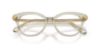 Picture of Swarovski Eyeglasses SK2046F