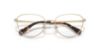 Picture of Swarovski Eyeglasses SK1029D
