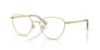 Picture of Swarovski Eyeglasses SK1029D