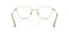 Picture of Swarovski Eyeglasses SK1029D