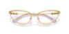 Picture of Swarovski Eyeglasses SK1027