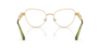Picture of Swarovski Eyeglasses SK1024