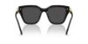 Picture of Swarovski Sunglasses SK6041