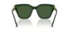 Picture of Swarovski Sunglasses SK6041
