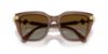 Picture of Swarovski Sunglasses SK6041