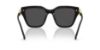 Picture of Swarovski Sunglasses SK6041F