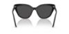 Picture of Swarovski Sunglasses SK6039