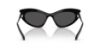 Picture of Swarovski Sunglasses SK6038