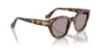 Picture of Persol Sunglasses PO3379S