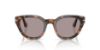 Picture of Persol Sunglasses PO3379S