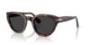 Picture of Persol Sunglasses PO3379S