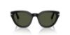 Picture of Persol Sunglasses PO3379S