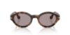 Picture of Persol Sunglasses PO3378S