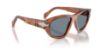 Picture of Persol Sunglasses PO0050S