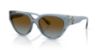 Picture of Michael Kors Sunglasses MK2241U